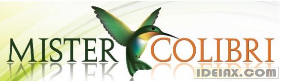 Mister Colibri